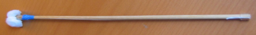 Dragon-Stick Flute and Tin Whistle Swab